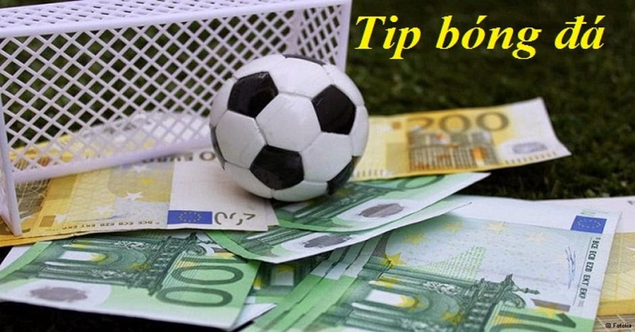 Tips bóng đá luôn có độ uy tín