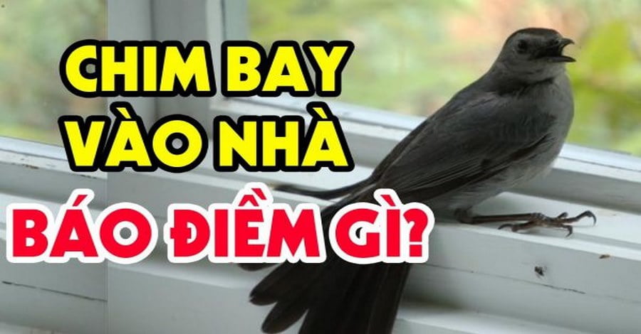 Biểu tượng con chim cũng là mang tới sự may mắn