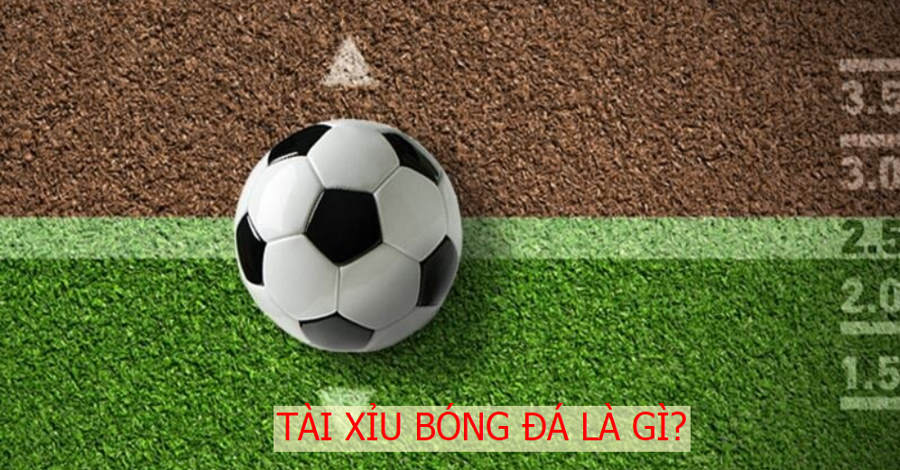 Giới thiệu tổng quan về kèo tài xỉu bóng đá