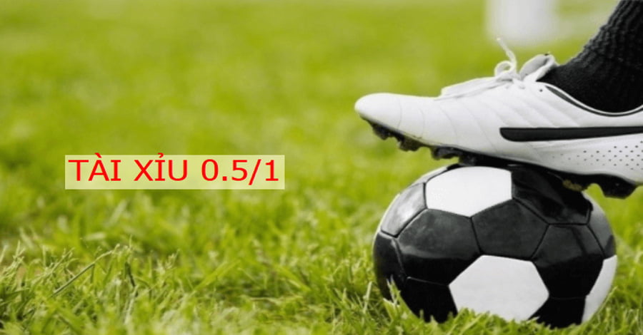 Tỷ lệ tài xỉu 0.5/1 được rất nhiều bet thủ yêu thích bởi tính hấp dẫn mà kèo đấu này mang lại