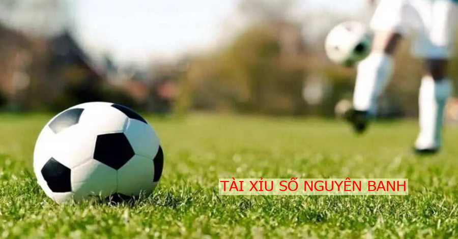 Phân tích cách tính thắng thua kèo O/U nguyên banh